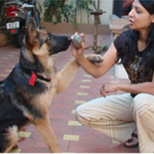 BERLIN GSD