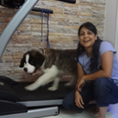 BRUNO
